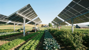 Agrovoltaica: Cultivo + Energia Solar na mesma área